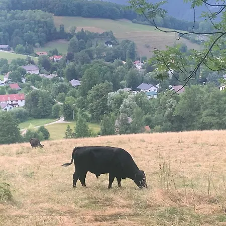 Kleines Romantisches In Der Semmering-rax Region Chalet Edlach an der Rax