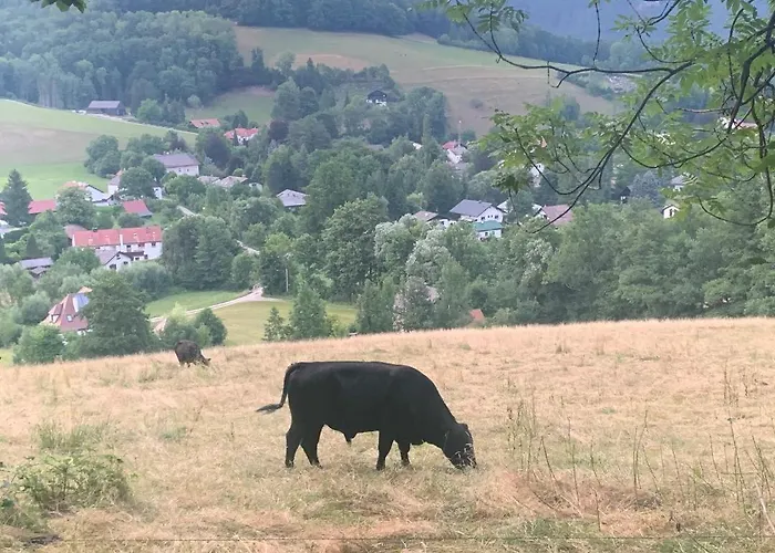 Kleines Romantisches In Der Semmering-rax Region Chalet Edlach an der Rax